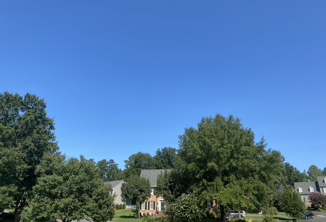 blue sky over a neighborhood