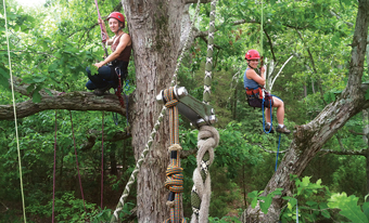 Tree climbing with Riverside Outfitters 