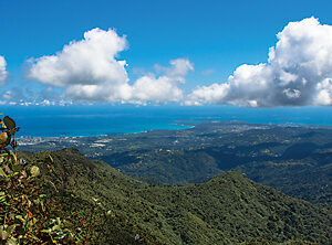Puerto Rico landscape