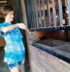 While staying at Country Lane Farm in Pennsylvania Dutch Country, the girls visited T.J.’s stall several times a day to feed him hay and apples. A thank you for that buggy ride earlier! 