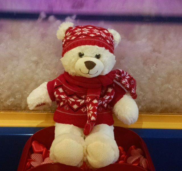 Pam Pouchot, November sweepstakes winner, sent in a shot of Snowfluff, the newest member of the family’s Build-A-Bear collection – thanks to RFM!